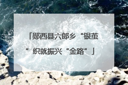 郧西县六郎乡“银茧”织就振兴“金路”