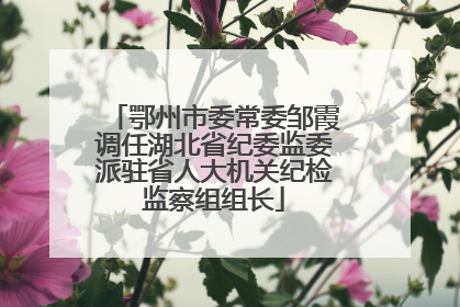 鄂州市委常委邹霞调任湖北省纪委监委派驻省人大机关纪检监察组组长