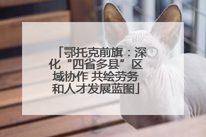 鄂托克前旗：深化“四省多县”区域协作 共绘劳务和人才发展蓝图