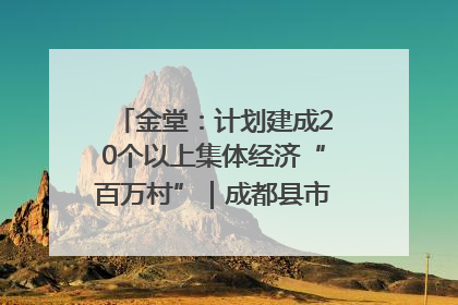 金堂：计划建成20个以上集体经济“百万村”｜成都县市新城高质量发展
