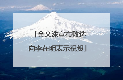 金文洙宣布败选 向李在明表示祝贺