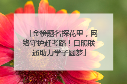 金榜题名探花里，网络守护赶考路！日照联通助力学子圆梦