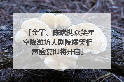 金霏、陈曦携众笑星空降潍坊大剧院爆笑相声盛宴即将开启