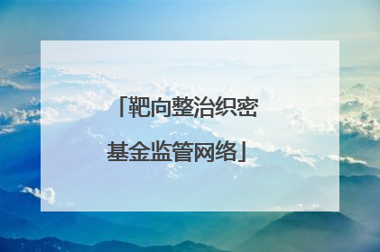 靶向整治织密基金监管网络