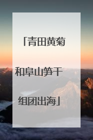 青田黄菊和阜山笋干组团出海