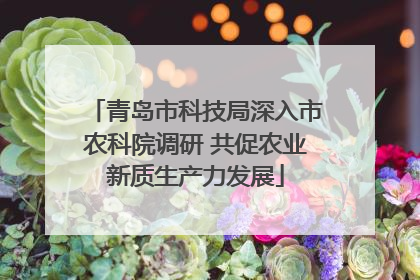 青岛市科技局深入市农科院调研 共促农业新质生产力发展