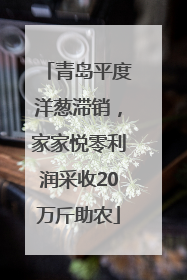 青岛平度洋葱滞销，家家悦零利润采收20万斤助农