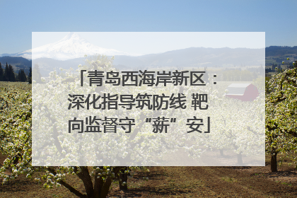 青岛西海岸新区：深化指导筑防线 靶向监督守“薪”安