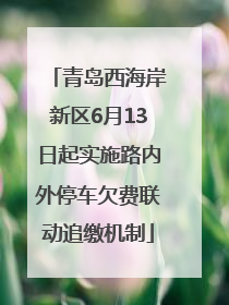 青岛西海岸新区6月13日起实施路内外停车欠费联动追缴机制
