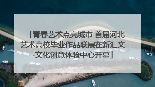 青春艺术点亮城市 首届河北艺术高校毕业作品联展在新汇文·文化创意体验中心开幕