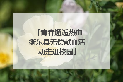 青春邂逅热血 衡东县无偿献血活动走进校园