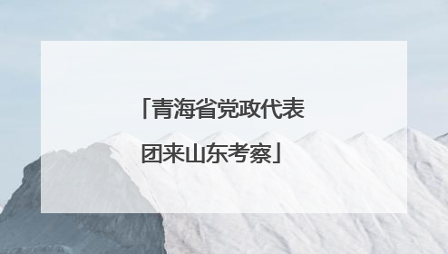 青海省党政代表团来山东考察