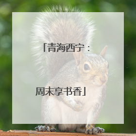 青海西宁：周末享书香