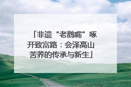 非遗“老鹳嘴”啄开致富路：会泽高山苦荞的传承与新生