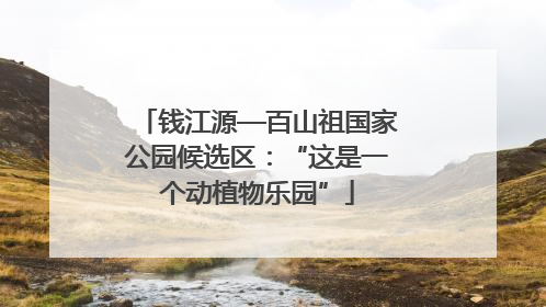 钱江源—百山祖国家公园候选区：“这是一个动植物乐园”