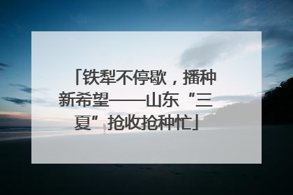 铁犁不停歇，播种新希望——山东“三夏”抢收抢种忙