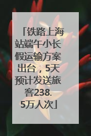 铁路上海站端午小长假运输方案出台，5天预计发送旅客238.5万人次
