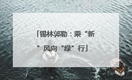 锡林郭勒：乘“新”风向“绿”行