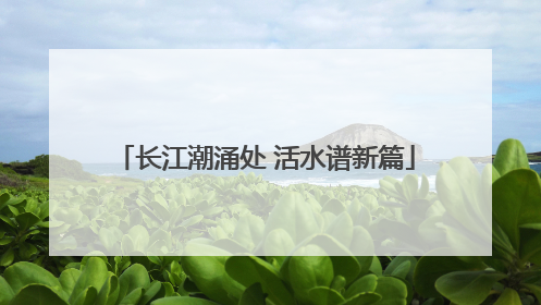 长江潮涌处 活水谱新篇