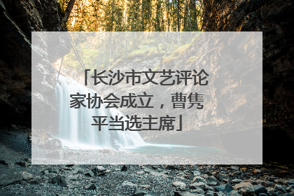 长沙市文艺评论家协会成立，曹隽平当选主席