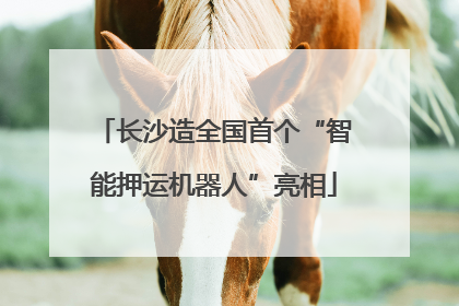 长沙造全国首个“智能押运机器人”亮相