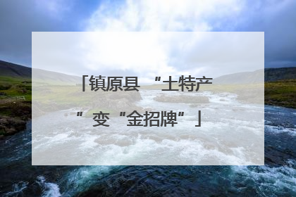 镇原县 “土特产”变“金招牌”
