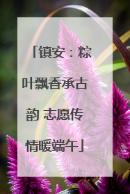 镇安：粽叶飘香承古韵 志愿传情暖端午