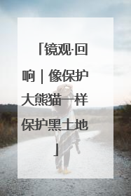 镜观·回响｜像保护大熊猫一样保护黑土地