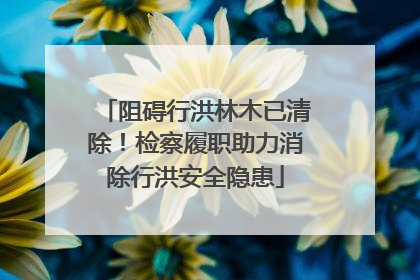 阻碍行洪林木已清除！检察履职助力消除行洪安全隐患