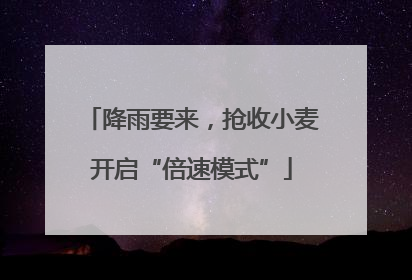 降雨要来，抢收小麦开启“倍速模式”