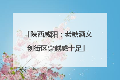 陕西咸阳：老糖酒文创街区穿越感十足