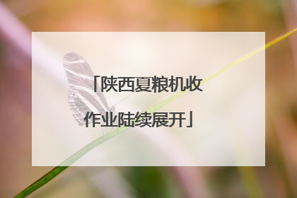 陕西夏粮机收作业陆续展开