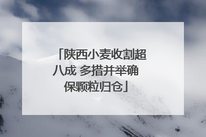 陕西小麦收割超八成 多措并举确保颗粒归仓