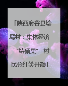 陕西府谷县埝墕村：集体经济“结硕果” 村民分红笑开颜