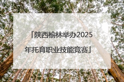 陕西榆林举办2025年托育职业技能竞赛