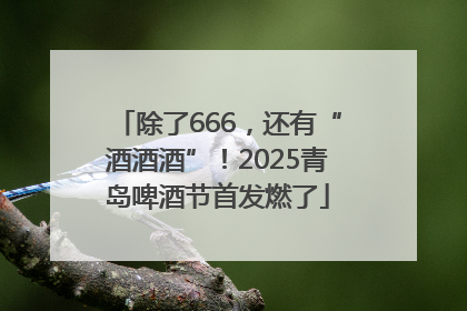 除了666，还有“酒酒酒”！2025青岛啤酒节首发燃了