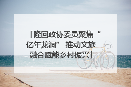 隆回政协委员聚焦“亿年龙洞” 推动文旅融合赋能乡村振兴
