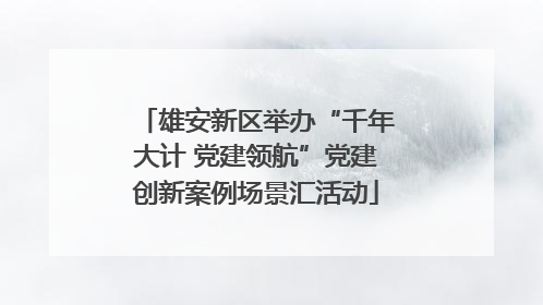 雄安新区举办“千年大计 党建领航”党建创新案例场景汇活动