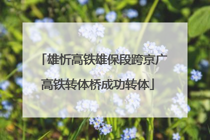 雄忻高铁雄保段跨京广高铁转体桥成功转体