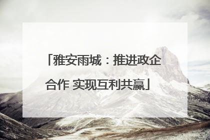 雅安雨城：推进政企合作 实现互利共赢