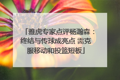 雅虎专家点评杨瀚森：终结与传球成亮点 需克服移动和投篮短板