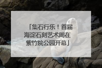 集石行乐！首届海淀石刻艺术周在紫竹院公园开幕