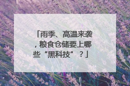 雨季、高温来袭，粮食仓储要上哪些“黑科技”？