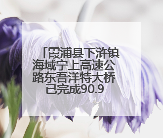 霞浦县下浒镇海域宁上高速公路东吾洋特大桥已完成90.94%