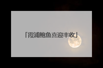 霞浦鲍鱼喜迎丰收