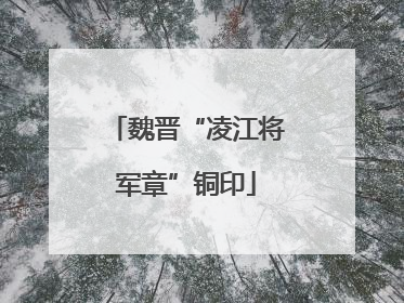 魏晋“凌江将军章”铜印