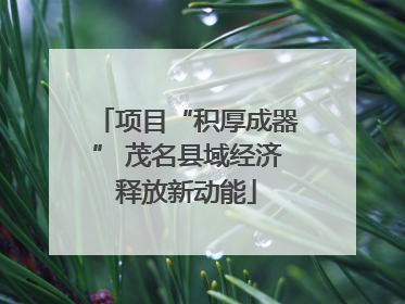 项目“积厚成器” 茂名县域经济释放新动能