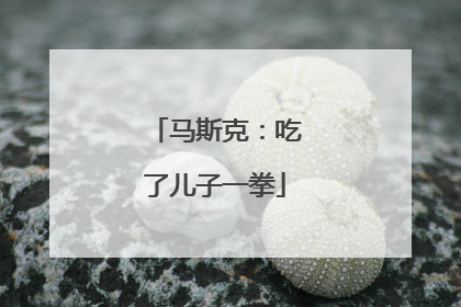 马斯克：吃了儿子一拳