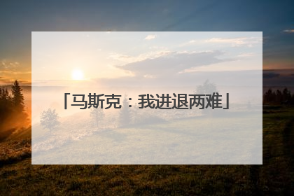 马斯克：我进退两难