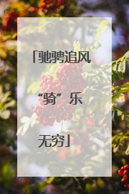 驰骋追风 “骑”乐无穷